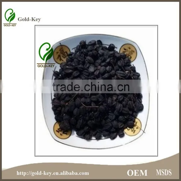 8%-15% Eleutheroside Natural Siberian Ginseng Extract photo-3