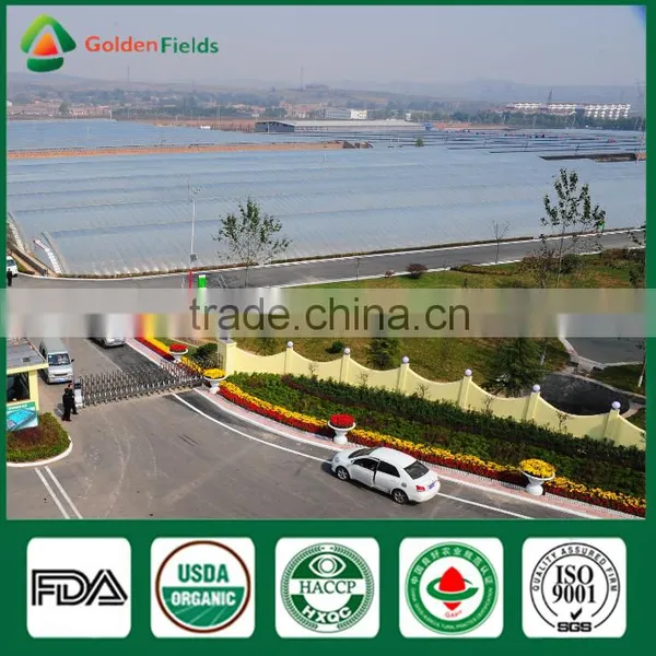 Fresh Dried Shiitake Mushroom Cultivation Lentinula Edodes Growing Export to Farm photo-6