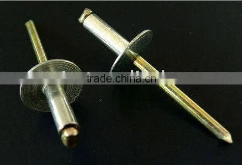 Blind Rivet With Cap 16 mm