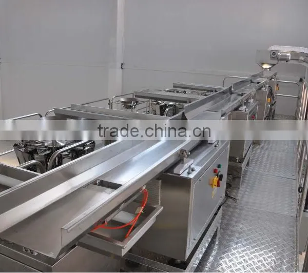 Fast Back Horizontal Motion Conveyor Design for Potato Chips Conveying photo-5