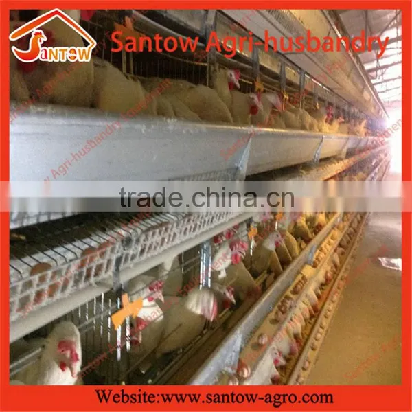 Supply Modern Poultry Heater Equipment/iran Poultry Poultry Equipment. photo-5