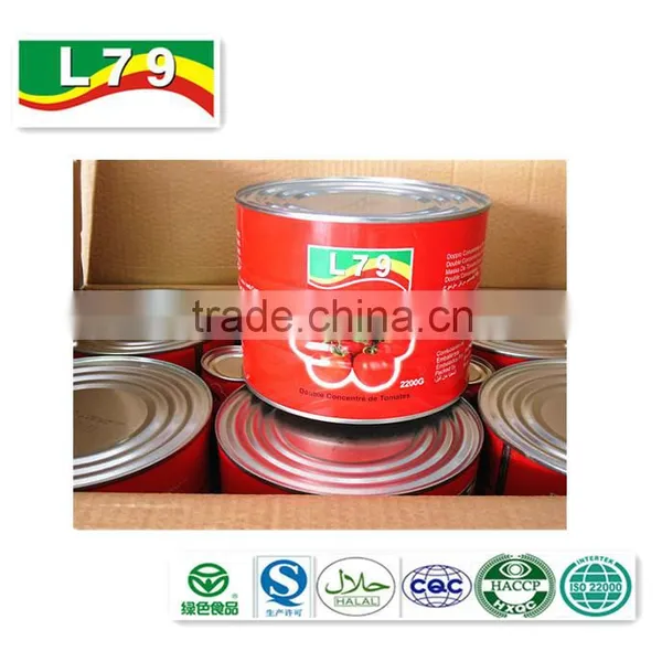 2200G China Factory Hot Sell Nature Canned Tomato Paste photo-6