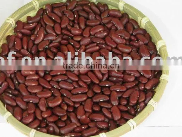 British Type Red Kidney Bean(655)
