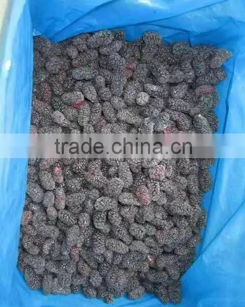 New Crop Frozen Mulberry for Sale photo-4
