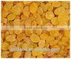 Gold Raisin With Best Price and Sweet photo-2