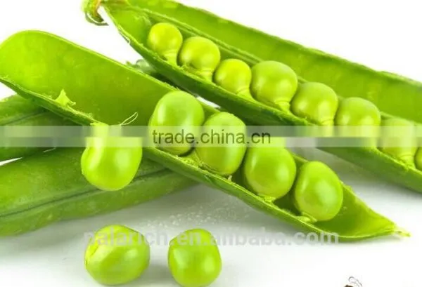 Dried Green Pea photo-2