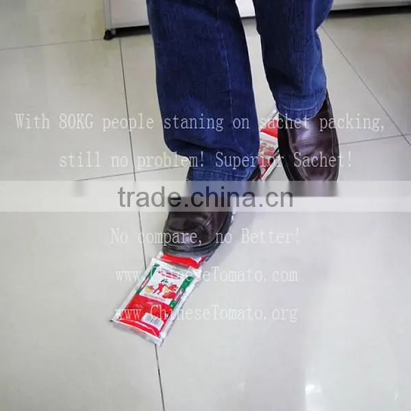 70G Pouch Low Price Tomato Paste From China Factory photo-2