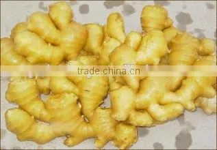Bulk Selling Ginger Price in China photo-2