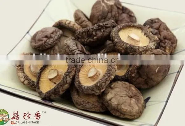 Natural Dry Shiitake Mushroom Bulk Dried Oyster Mushroom photo-2