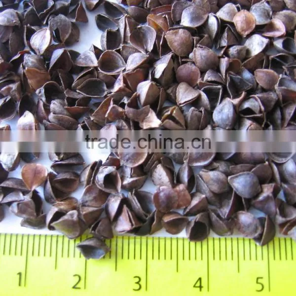 Buckwheat Husk
