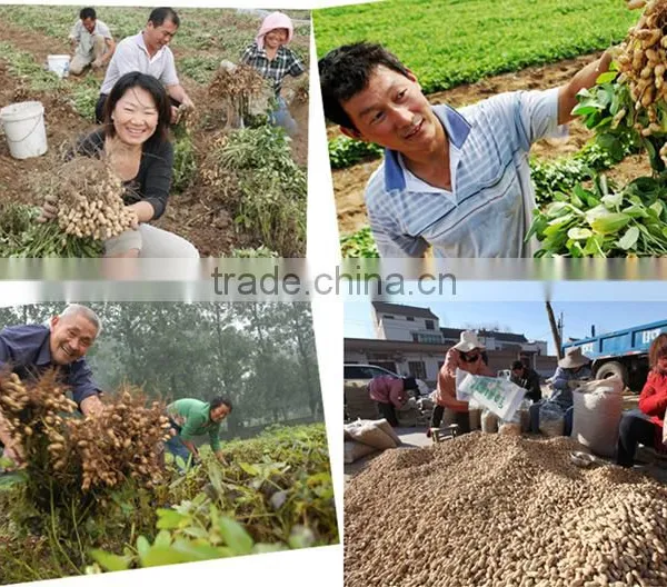 Neweek Agricultural Tractor Mounted Groundnut Harvesting Machine for Sale photo-5