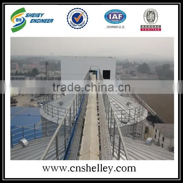 High Quality Drag Chain Grain Conveyor Price photo-3