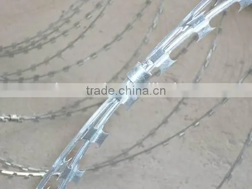 CBT-65 Hot Dipped Galvanized Razor Barbed Wire Mesh photo-5