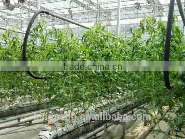 Truss Shape Trellising Hot Dipped Galvaniazed Cultivating Shelf Used in Greenhouse photo-2