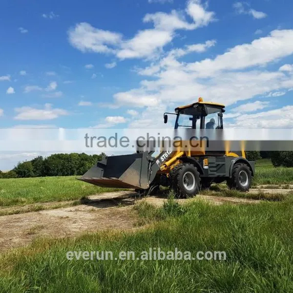 ER Wheel Loader With Snow Plough photo-2