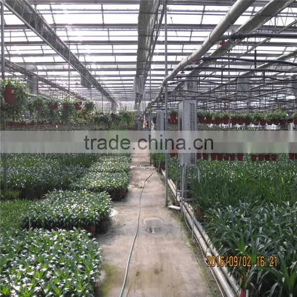 Hot Sale Poly Green House in India photo-3