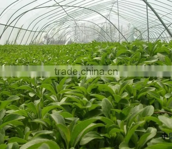Better Industry Herbal Medicine Extractor On Sale photo-4
