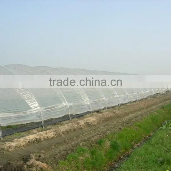 RoughBrothers Tunnel-600 Single Span Low Cost Tunnel Greenhouse