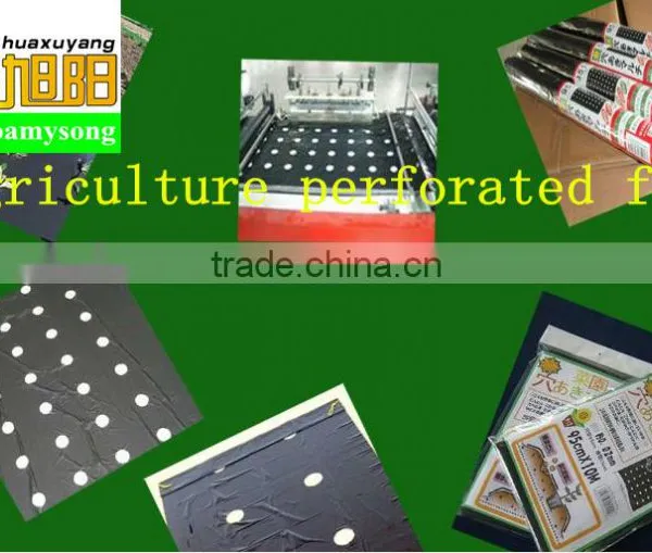 Plastic Agricultural Perforation Film for Punch 1cm Hole photo-4