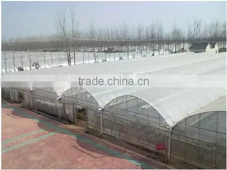 Factory Supply PVC Greenhouse Tent for Sale photo-2