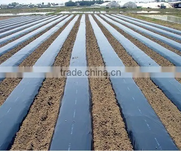 Agricultural Plastic Black Builders Mulch Film photo-3