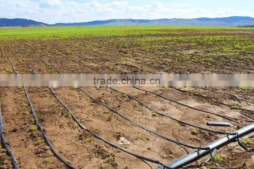 Farm Irrigation Pipes With High Quality photo-3