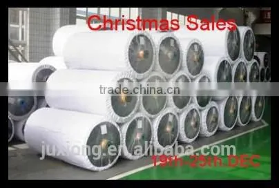 Polyester Yarn Normal Shrinkage 1220dex photo-2
