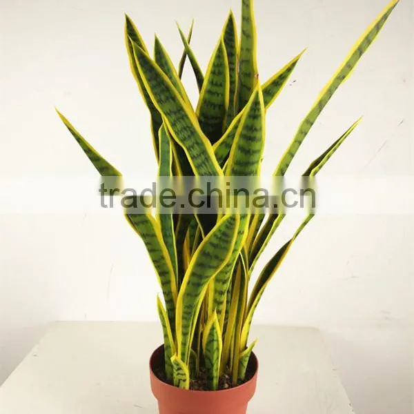 Guangzhou Shengjie Artificial Bonsai Agave Plant Indoor Decoration photo-4