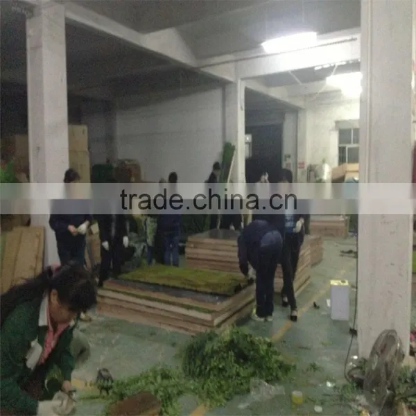 China Wholesale Artificial Plant Wall Manufacturer Foliage Plants Wall Green Wall photo-5