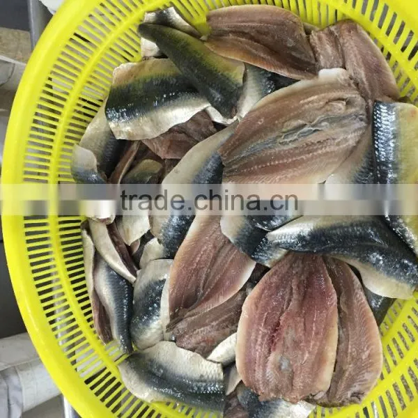 Frozen Sardine Fillets ,double Fillets /skin on Boneless PBO photo-3