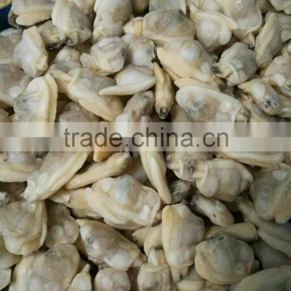 Frozen New Boiled Local Special Seafood Yellow Clam Meat From Liaoning Province photo-3
