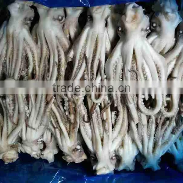 Frozen Squid Head Much Stock in Factory Price in China photo-2