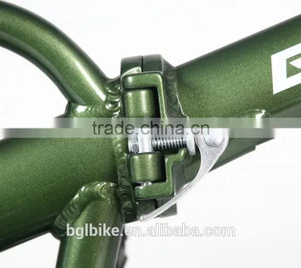 CE China Zhejiang 20 Inches Electric Folding Bike for Sale photo-6