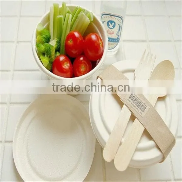 FSC Certificate Food Grade Disposable Natural Wood Material Spoon photo-5