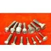 Titanium Bolt