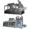 Wrap Around Case Packer