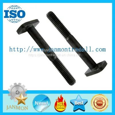 T Bolt,T Bolts,Special T Bolt,Special T Bolts,T Type Bolt,T Type Bolts,Steel T Bolt,Steel T Bolts,T Head Bolt,T Head Bolts,Hammer T Head Bolt photo-3
