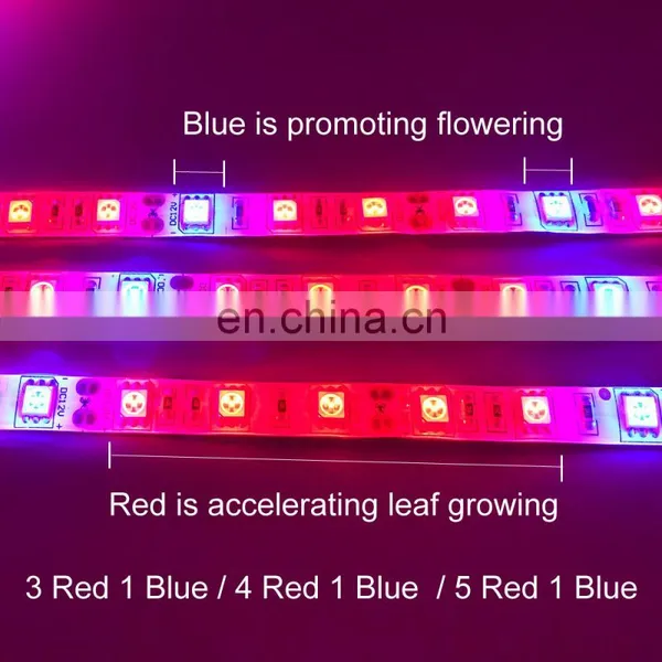 DC12V LED Plant Grow Light Full Spectrum LED Strip Light SMD 5050 Chip For Greenhouse Hydroponic Plant photo-4