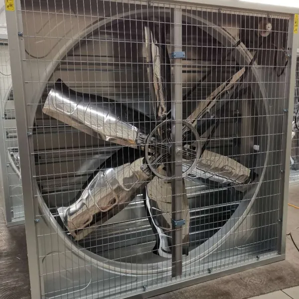Centrifugal Push-Pull Exhaust Fan for Poultry Greenhouse photo-4