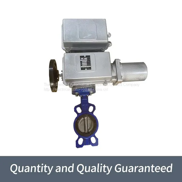 Bernard direct electric actuator AS25 intelligent butterfly valve device