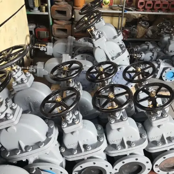 Marine Cast Iron Swing Type Check Valve JIS F7372 5K & F7373 10K Flange Check Valve photo-5