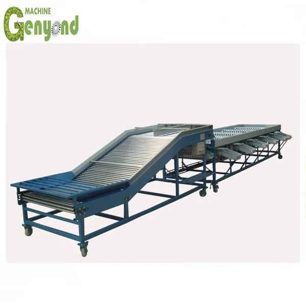 Fruit Sorting Machine Can Use for Pear/ Tomato/ Cherry/ Apple/ Orange/ Lemon/ Mango photo-5