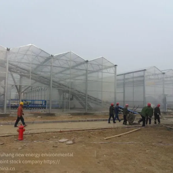 Solar Sludge Drying Equipment - Model Fw20 Sludge Treatment Equipment