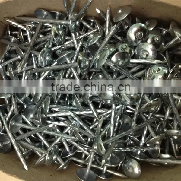 Galvanized Roofing Nail photo-4