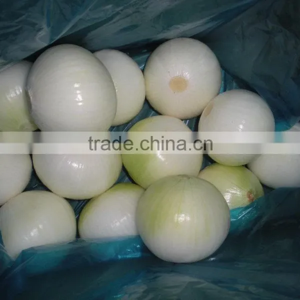 Looking for a Long Term Customer High Quality Fresh Onion Manufacturer From China