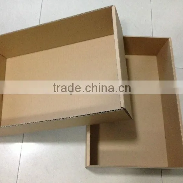 The Frozen Waterproof Shipping Box