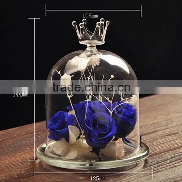 Wholesale Decorative Glass Dome With Base Made in China photo-2