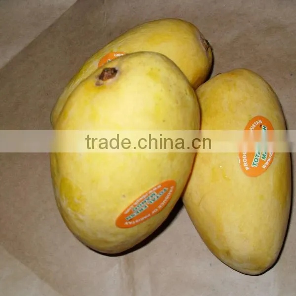 Fresh Mango From Pakistan Mango photo-6