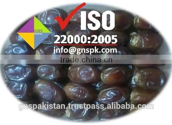 Aseel Fresh Preserved Healthy Food Products Semi Dried Dates Pakistani Dates by GNS PAKISTAN photo-2