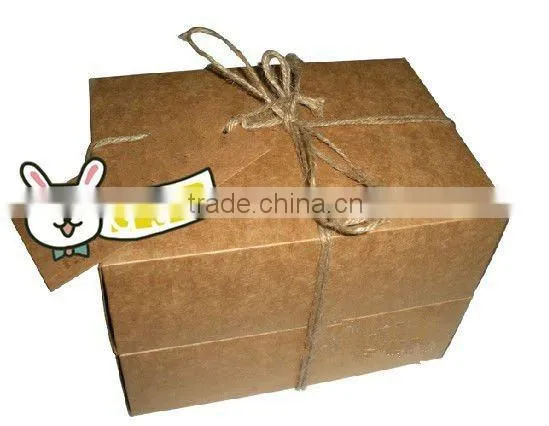 Hotmelt Glue for Case and Carton Sealing photo-3